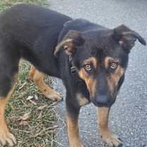 Thumbnail photo of Heidi #2