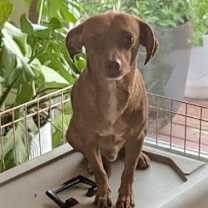 Thumbnail photo of Edwin #1