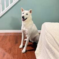 Thumbnail photo of Soonsu #3