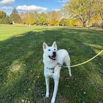 Thumbnail photo of Soonsu #4