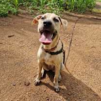 Thumbnail photo of Stockholm - Money Heist Litter #4