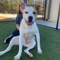 Thumbnail photo of Oatmeal #1