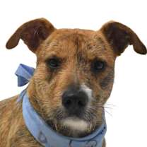 Thumbnail photo of Pretzel #1