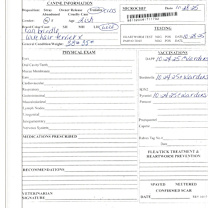 Thumbnail photo of Pretzel #2