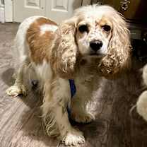 Thumbnail photo of Gladys #1