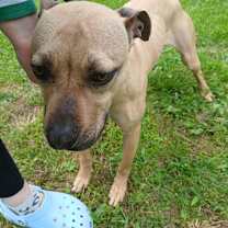 Thumbnail photo of Winnie #2