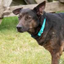 Thumbnail photo of Lady #1