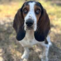 Thumbnail photo of Twix TX #2