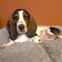 Thumbnail photo of Twix TX #3