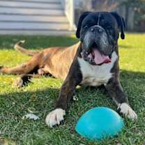 Thumbnail photo of Harvest  #1