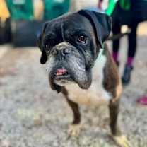 Thumbnail photo of Harvest  #2