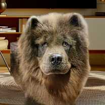 Thumbnail photo of Mickey #1