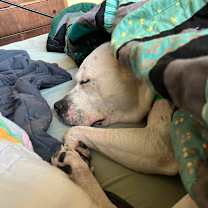 Thumbnail photo of Missy #3