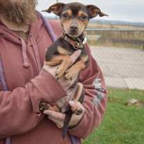 Thumbnail photo of Bean #3