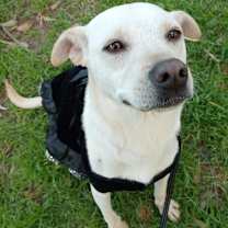 Thumbnail photo of BLANCA #1