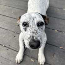 Thumbnail photo of Turner #1