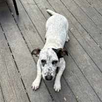 Thumbnail photo of Turner #2