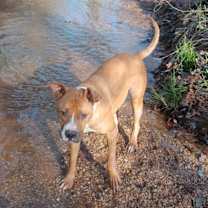 Thumbnail photo of Doug #1