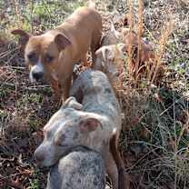 Thumbnail photo of Doug #3