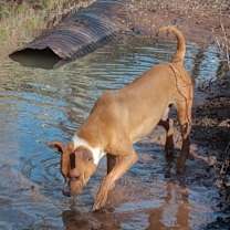 Thumbnail photo of Doug #2