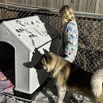 Thumbnail photo of Roxy #2