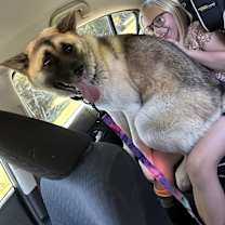 Thumbnail photo of Roxy #3