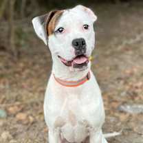 Thumbnail photo of DeMois #3