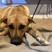 Thumbnail photo of Tai #2