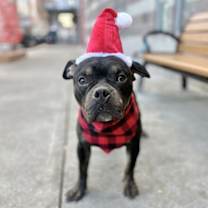 Thumbnail photo of Lark #1