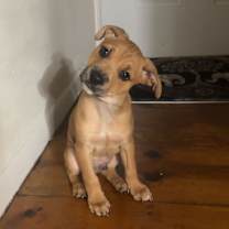 Thumbnail photo of Eminem #3