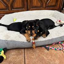 Thumbnail photo of Wells #3