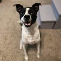 Thumbnail photo of Bear #1