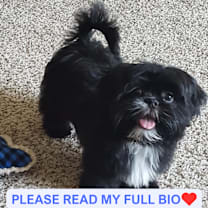 Thumbnail photo of T'Challa #1