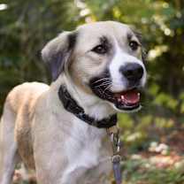 Thumbnail photo of Sky #1