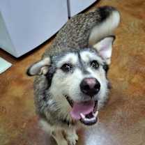 Thumbnail photo of Tex #2