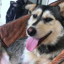 Thumbnail photo of Tex #3