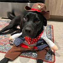 Thumbnail photo of Mickey Bibb #1