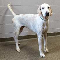 Thumbnail photo of Elmer #1