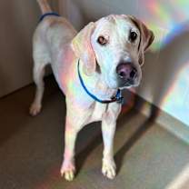 Thumbnail photo of Elmer #2