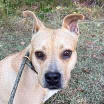 Thumbnail photo of Tara #3