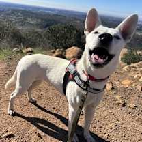 Thumbnail photo of Gia #2