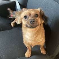 Thumbnail photo of ROXY #2