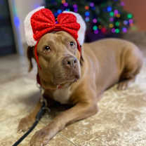 Thumbnail photo of Tessa #1