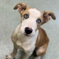 Thumbnail photo of Melissa #2