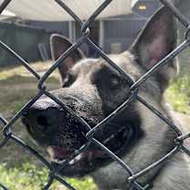 Thumbnail photo of Babylon #3