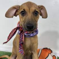 Thumbnail photo of Melany #1