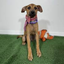 Thumbnail photo of Melany #2