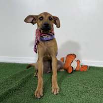 Thumbnail photo of Melany #4