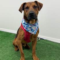 Thumbnail photo of Moka #4