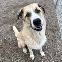 Thumbnail photo of Remi #2